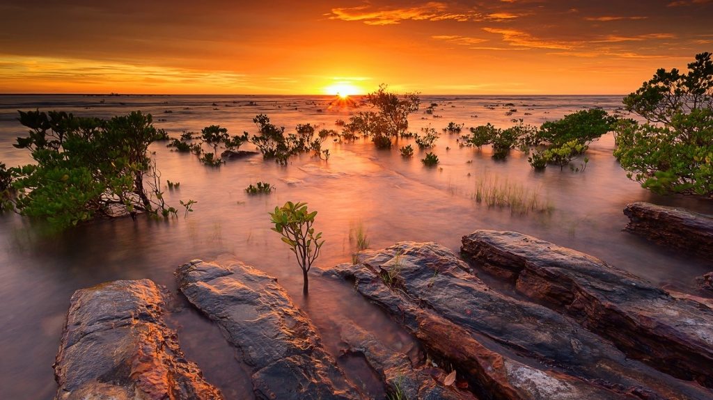 australia_evening_on_the_coast-wallpaper-1024x768